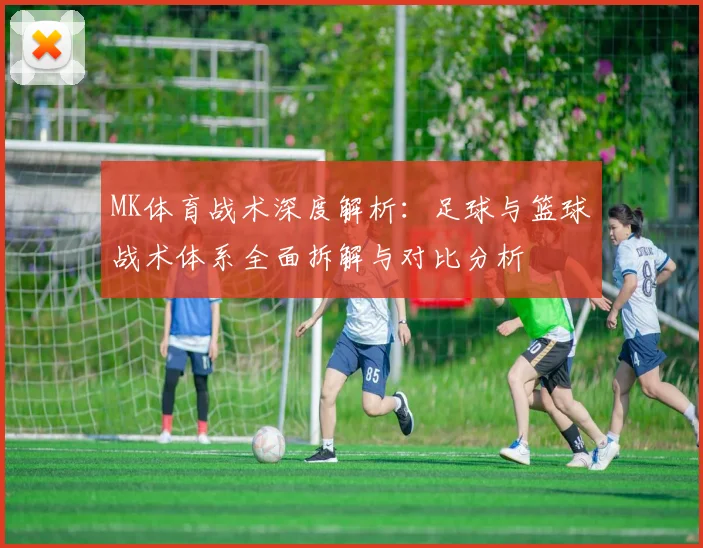 MK体育战术深度解析：足球与篮球战术体系全面拆解与对比分析