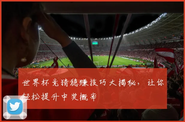 世界杯竞猜稳赚技巧大揭秘，让你轻松提升中奖概率