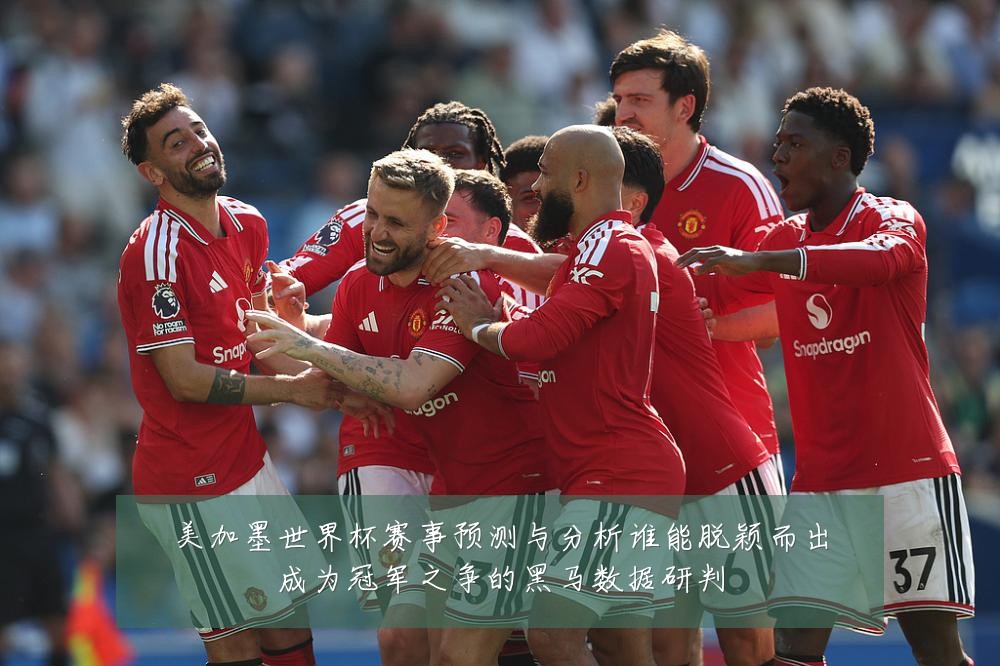 美加墨世界杯赛事预测与分析谁能脱颖而出成为冠军之争的黑马数据研判