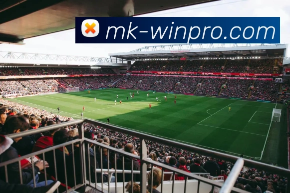 MK体育平台展示图